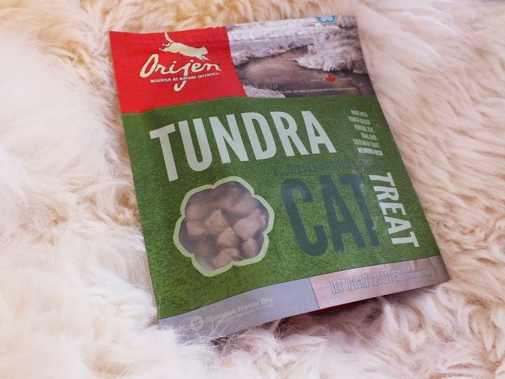 what is the best cat kitten treats