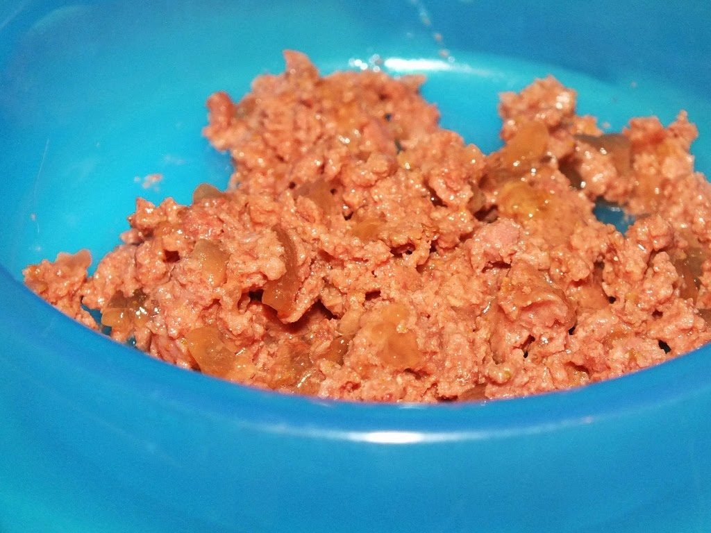 best cat kitten food
