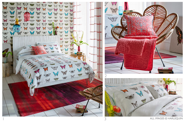 image-papilio-harlequin-nedeck-collection-butterflies image-papilio-harlequin-nedeck-collection-butterflies