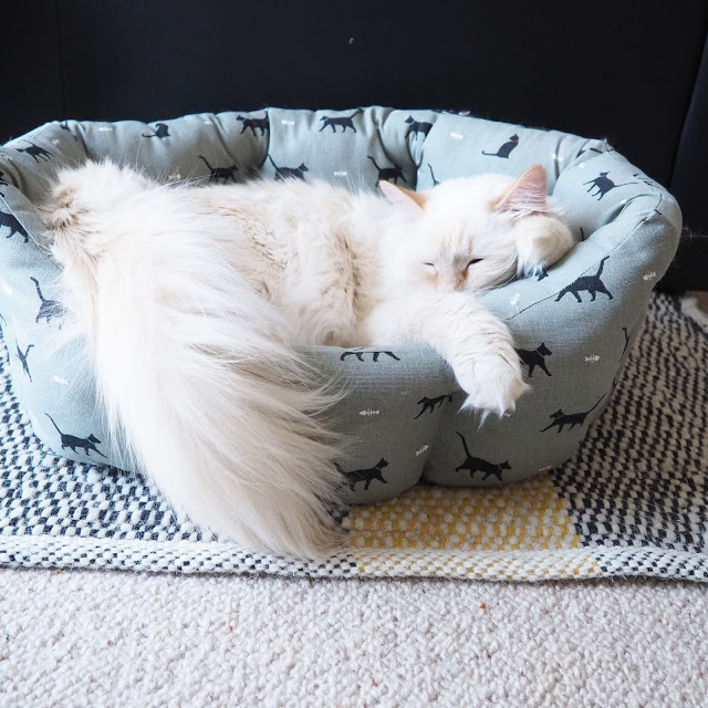 habitat rug habitat rug