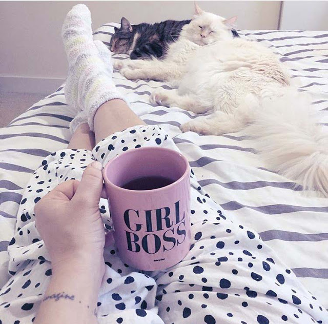 girlboss pet cat sitting business girlboss pet cat sitting business