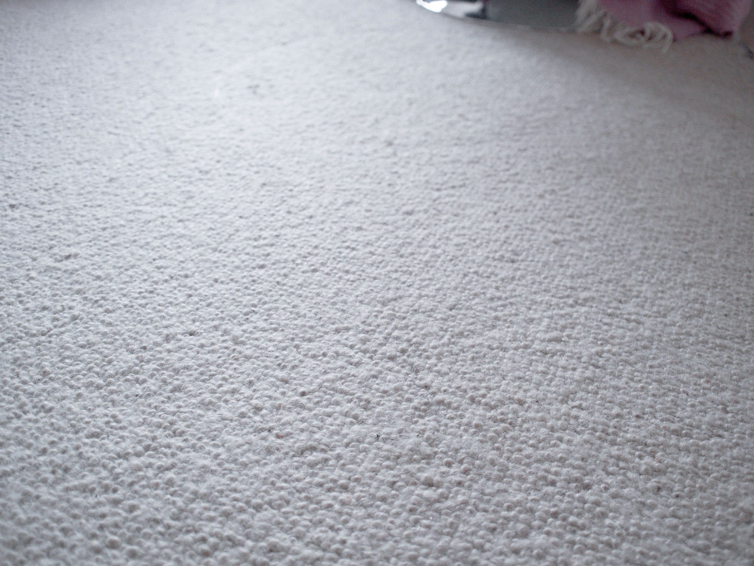 cleaning carpet