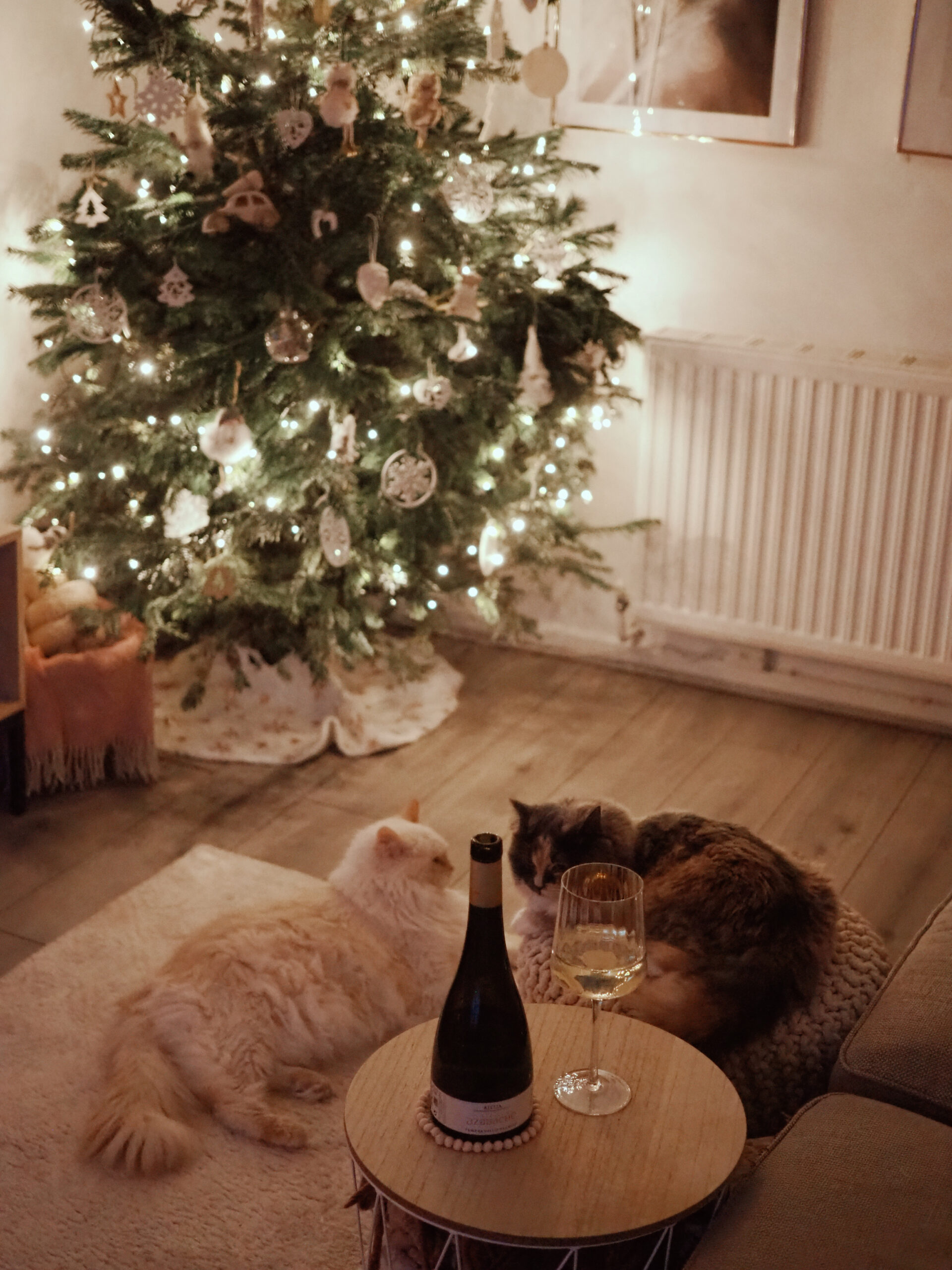 rioja wine directory at home
